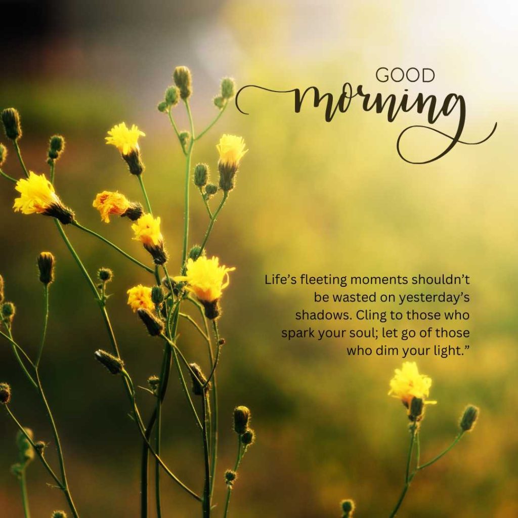 *“Life’s fleeting moments shouldn’t be wasted on yesterday’s shadows. Cling to those who spark your soul; let go of those who dim your light.”