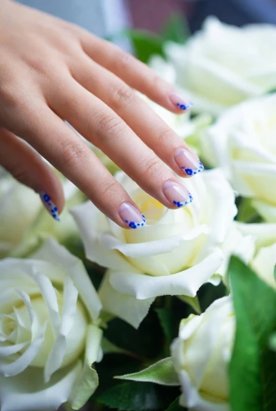 Blue and White Floral French Tips