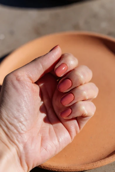 Dusty Coral Earth Tone Nails